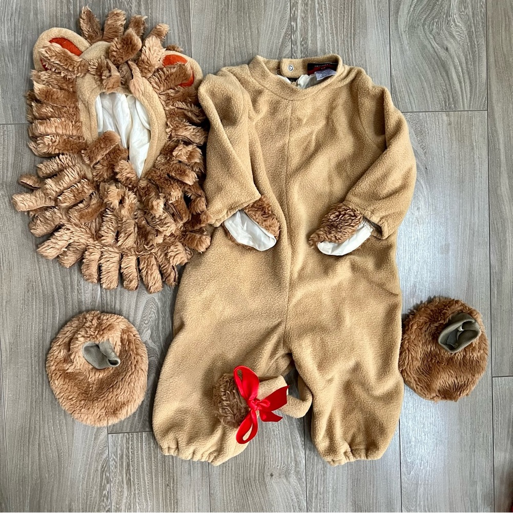 In character lion costume large